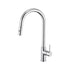 Anise Plus Pull-Out Sink Mixer