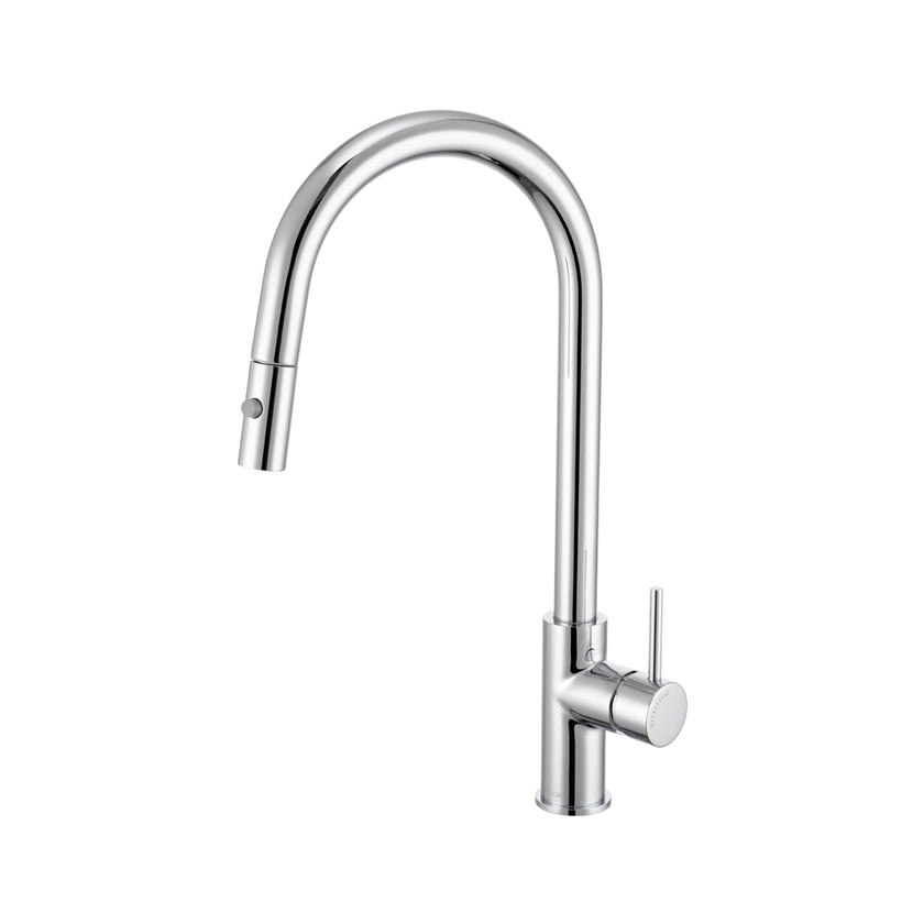 Anise Plus Pull-Out Sink Mixer