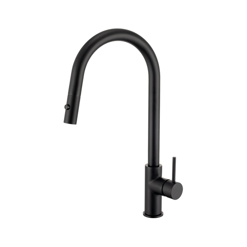 Anise Plus Pull-Out Sink Mixer
