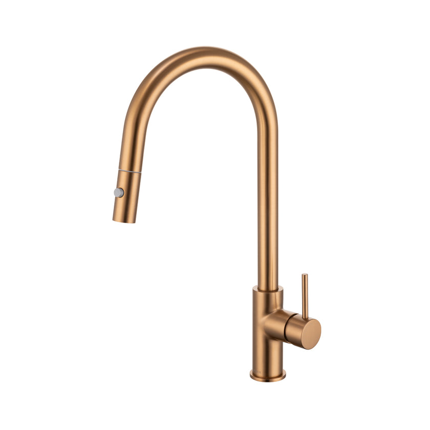 Anise Plus Pull-Out Sink Mixer