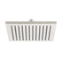 Chai ABS Shower Head Only