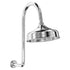 Lillian Arm And Rose Shower Set