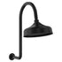 Lillian Arm And Rose Shower Set