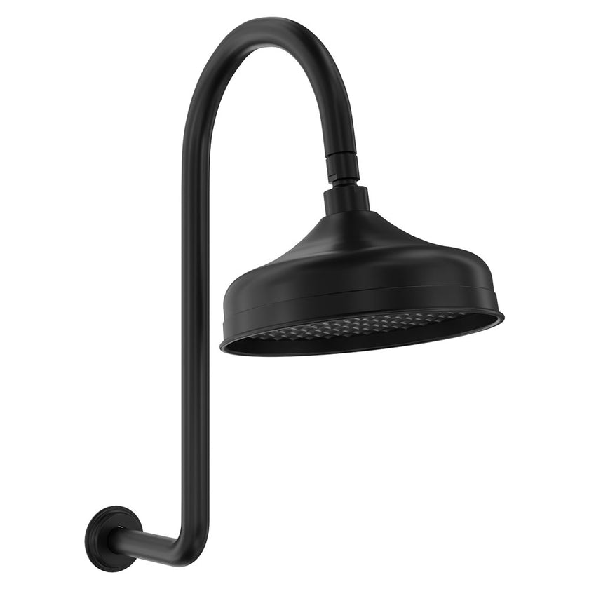 Lillian Arm And Rose Shower Set