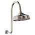 Lillian Arm And Rose Shower Set