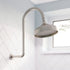 Lillian Arm And Rose Shower Set