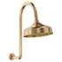 Lillian Arm And Rose Shower Set