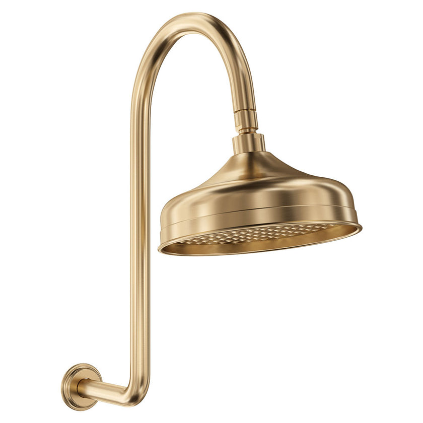 Lillian Arm And Rose Shower Set