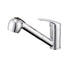 Cayenne Veggie Spray Sink Mixer