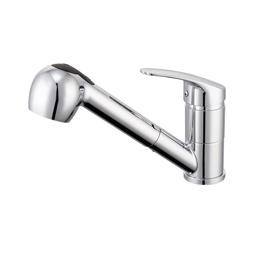 Cayenne Veggie Spray Sink Mixer