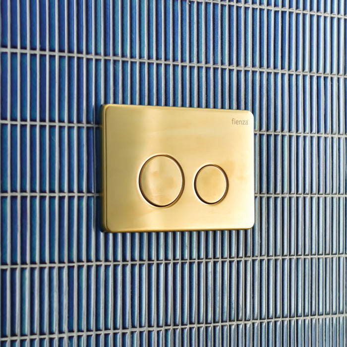 R&T Buttons for R&T In Wall Cistern