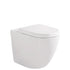 Koko Tornado Flush In Wall Cistern Toilet Matte