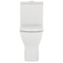 Delta Nano Glaze Back To Wall Extra Height Toilet
