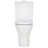 Tono Tornado Flush Back To Wall Toilet