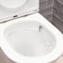 Tono Tornado Flush Back To Wall Toilet