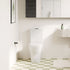 Tono Tornado Flush Back To Wall Toilet