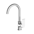 Bianca Kitchen Mixer Gooseneck Spout