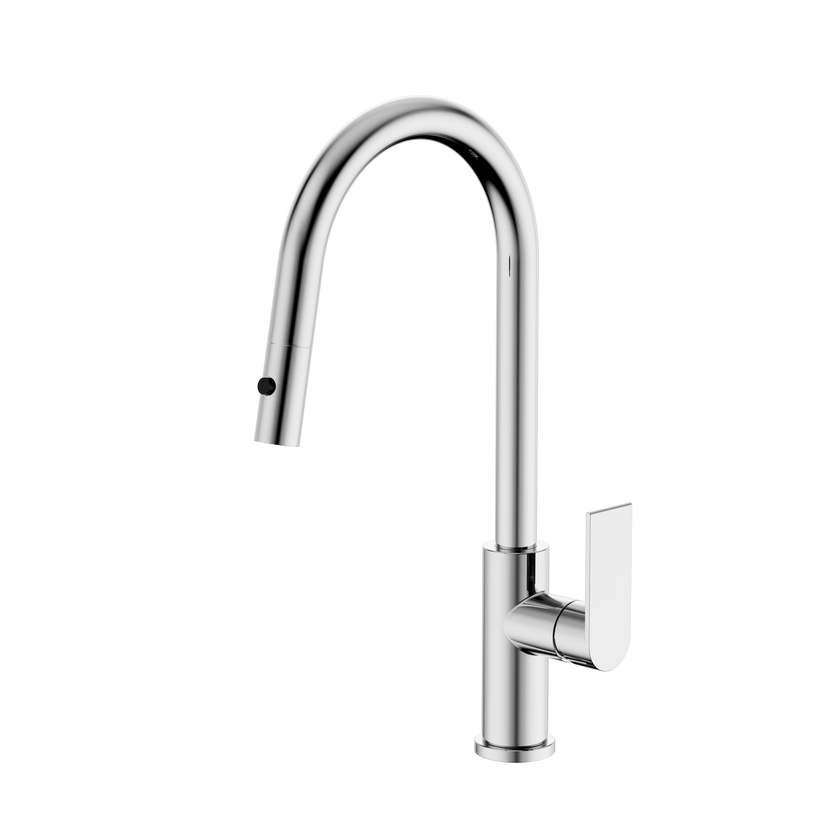 Bianca Pull Out Sink Mixer With Vegie Spray Function