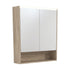 LED Mirror Cabinet With Display Shelf
