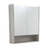 LED Mirror Cabinet With Display Shelf