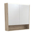 LED Mirror Cabinet With Display Shelf