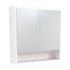 LED Mirror Cabinet With Display Shelf