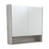 LED Mirror Cabinet With Display Shelf