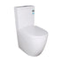 Denali Rimless Toilet Suite