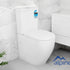 Denali Rimless Toilet Suite