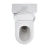 Denali Rimless Toilet Suite