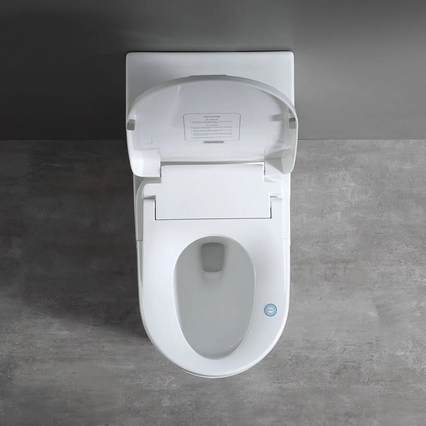 Smart Toilet Seat