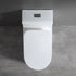 Smart Toilet Seat